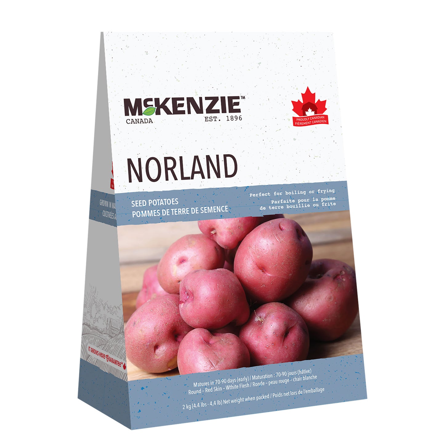 Seed Potatoes, Red Norland