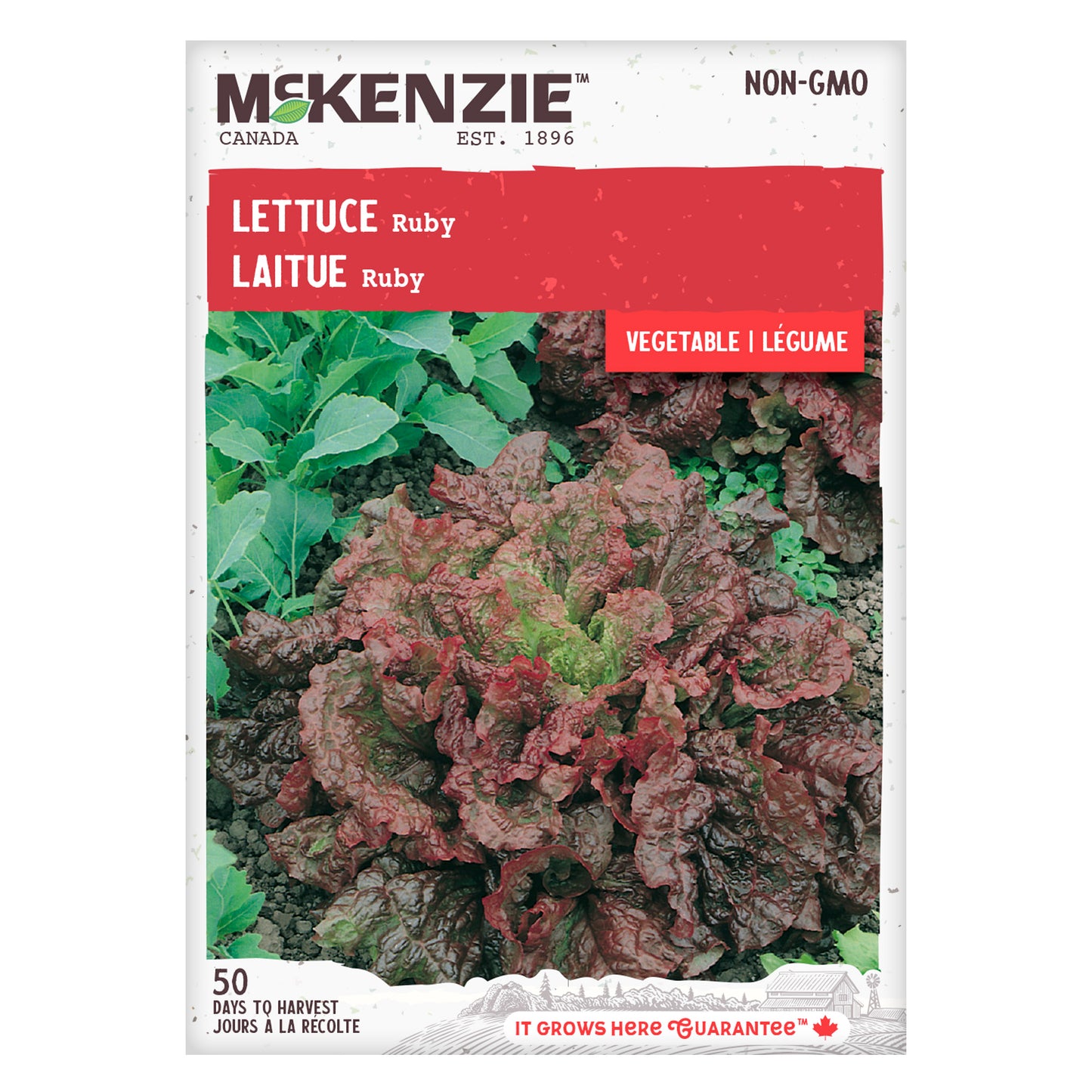 Lettuce, Ruby Seeds