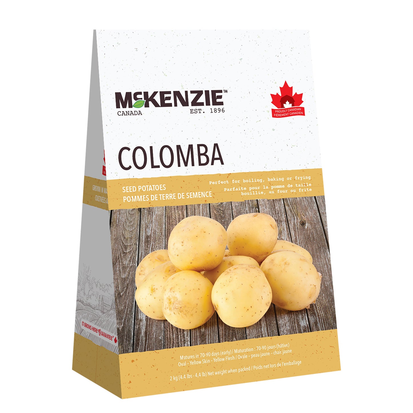 Seed Potatoes, Yellow Colomba