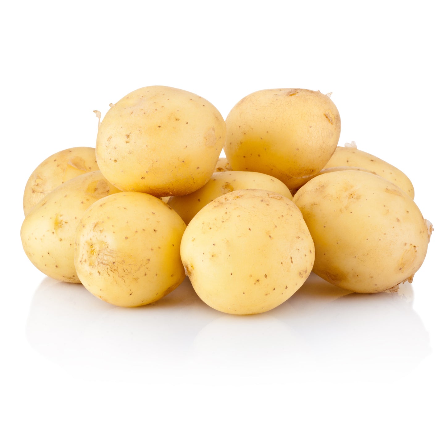 Seed Potatoes, Yellow Colomba