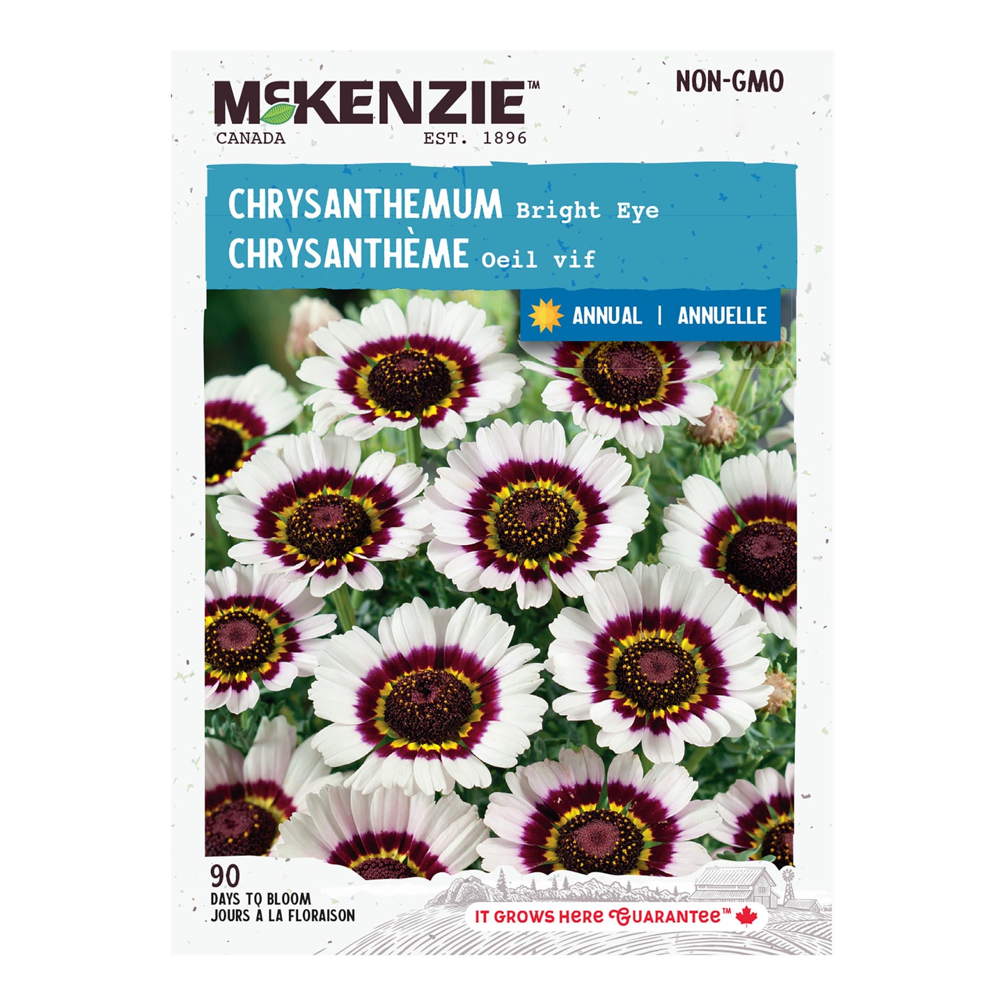 Chrysanthemum, Bright Eye Seeds