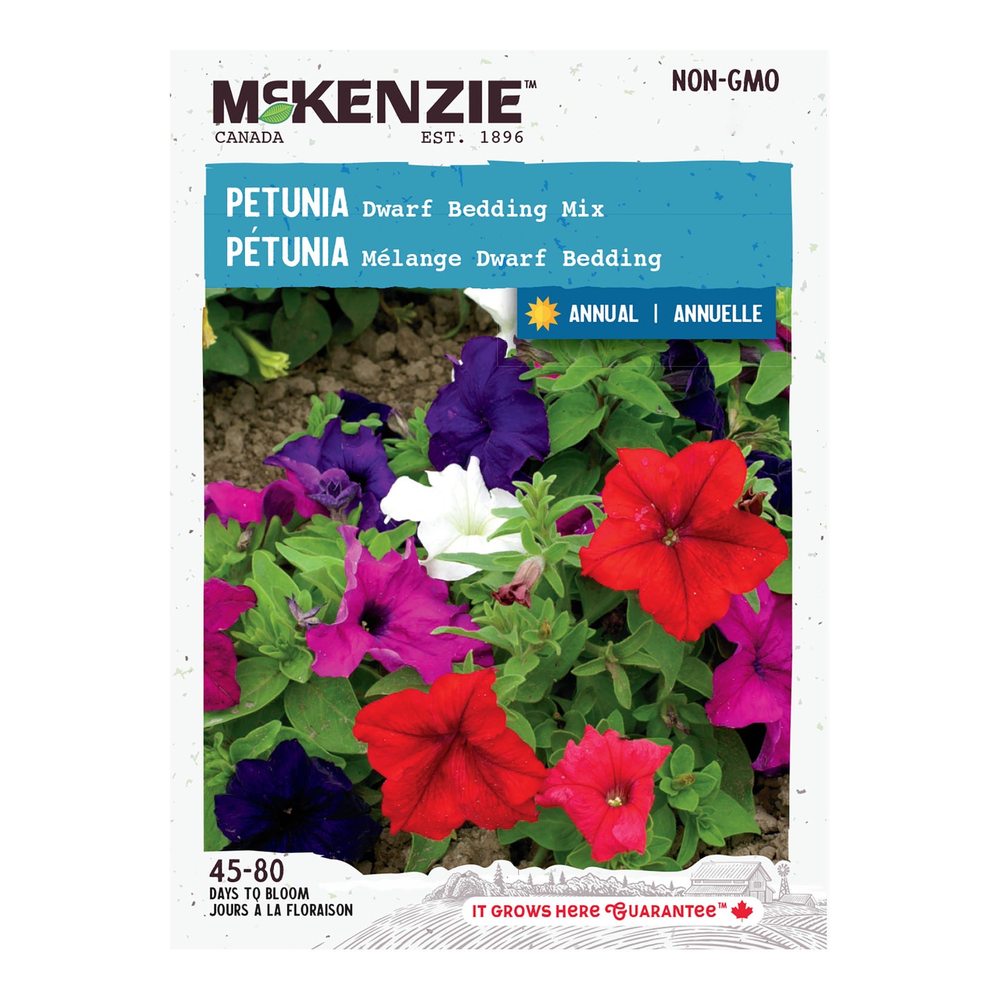 Petunia, Dwarf Bedding Mix Seeds