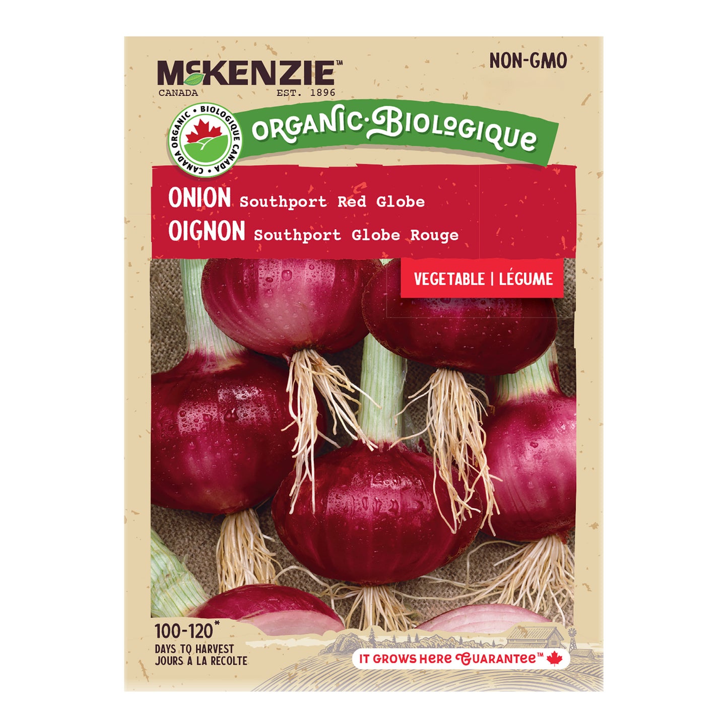 Onion, Southport Red Globe Organic Seeds