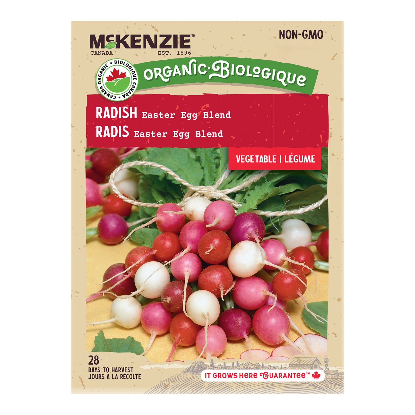 Radish, Easter Egg Blend Organic Seeds
