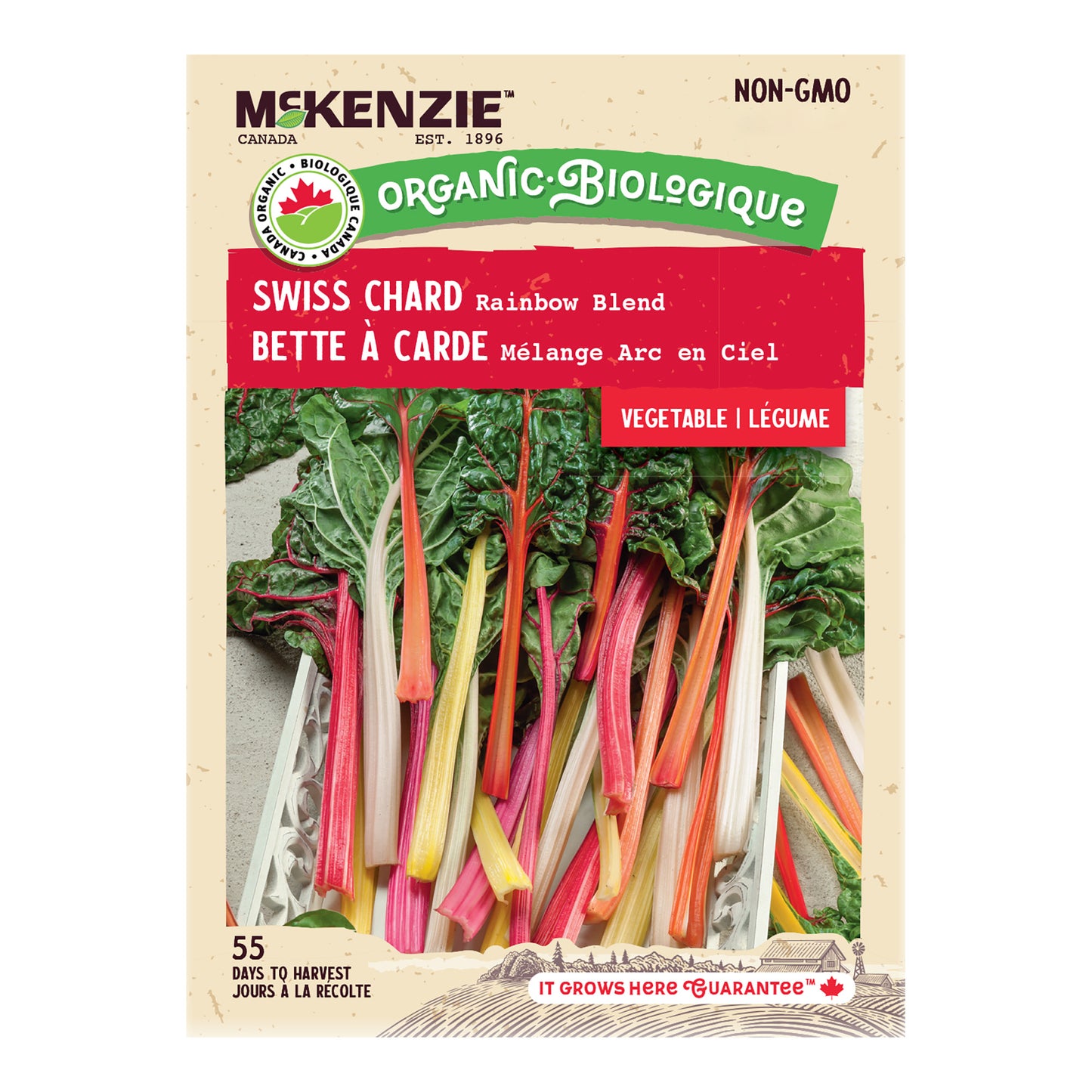 Swiss Chard, Rainbow Blend Organic Seeds