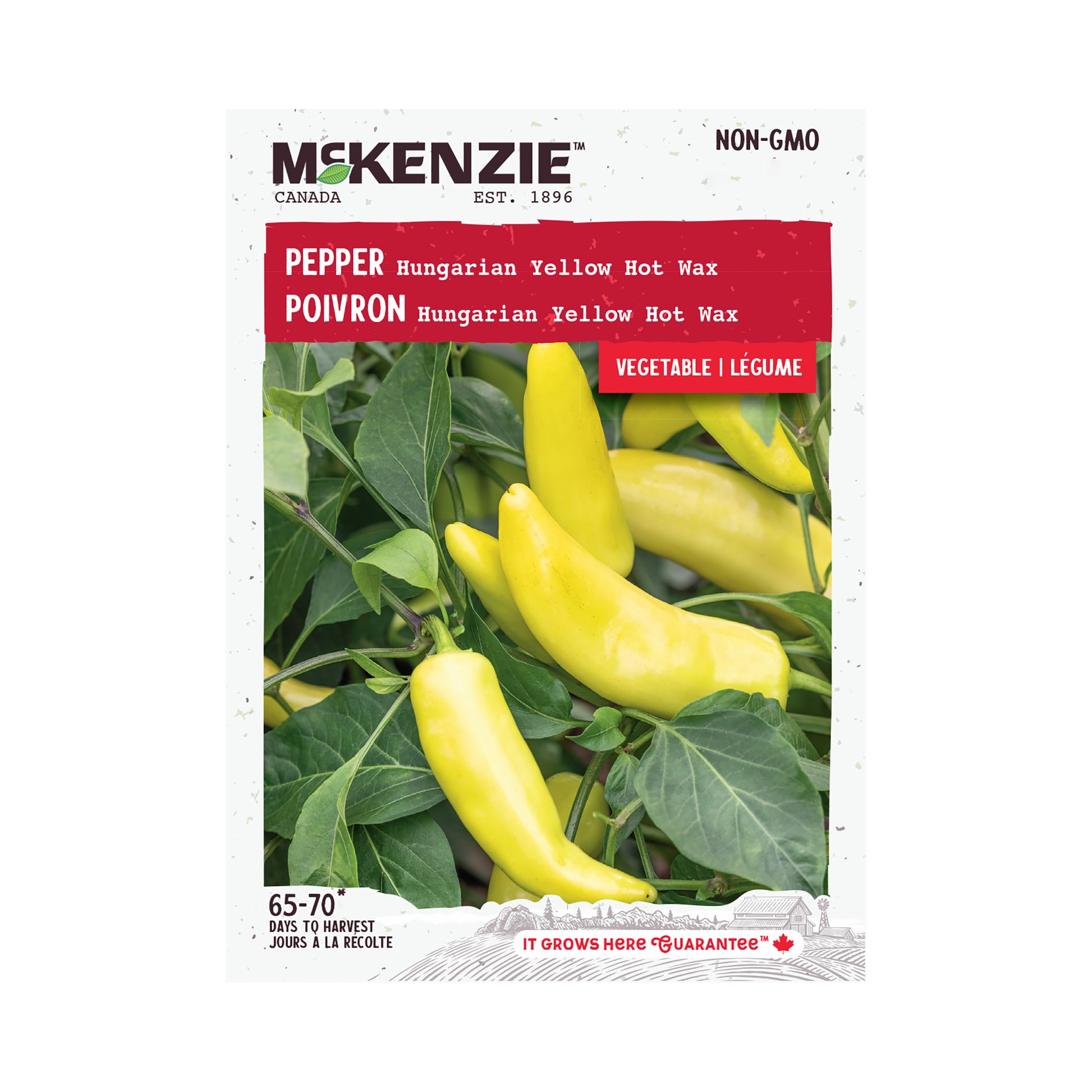 Front of McKenzie Seeds pepper seed packet showing variety name and brand logo