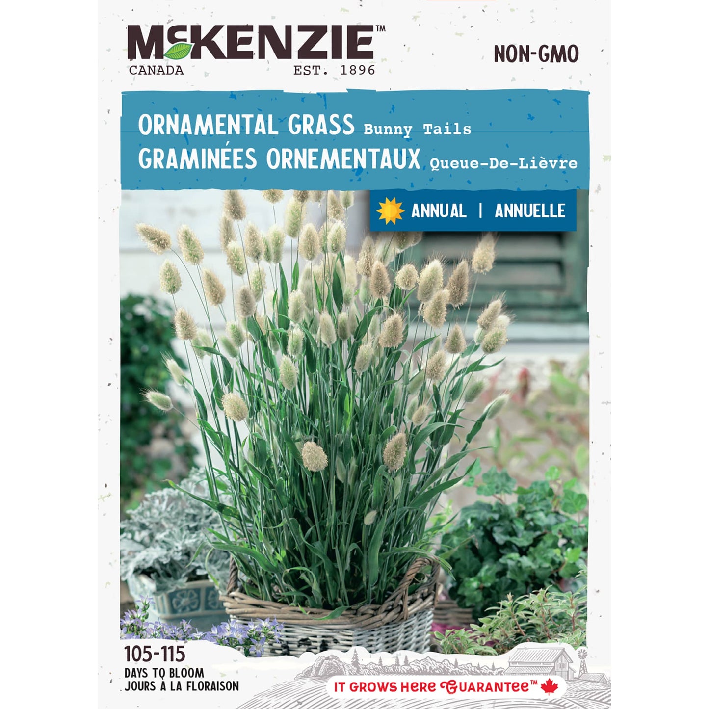 Front of McKenzie Seeds ornamental grass seed packet showing variety name and brand logo