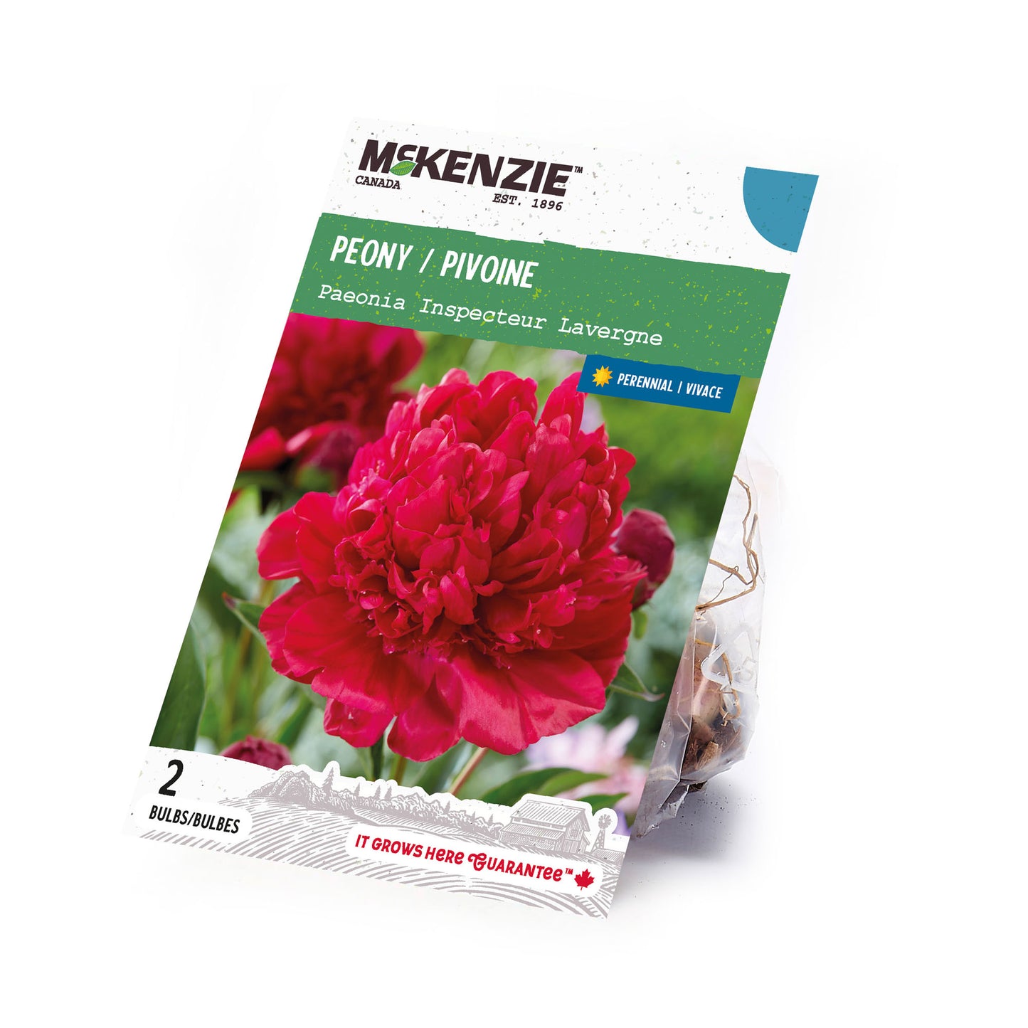 Peony, Inspector Lavergne Rhizomes