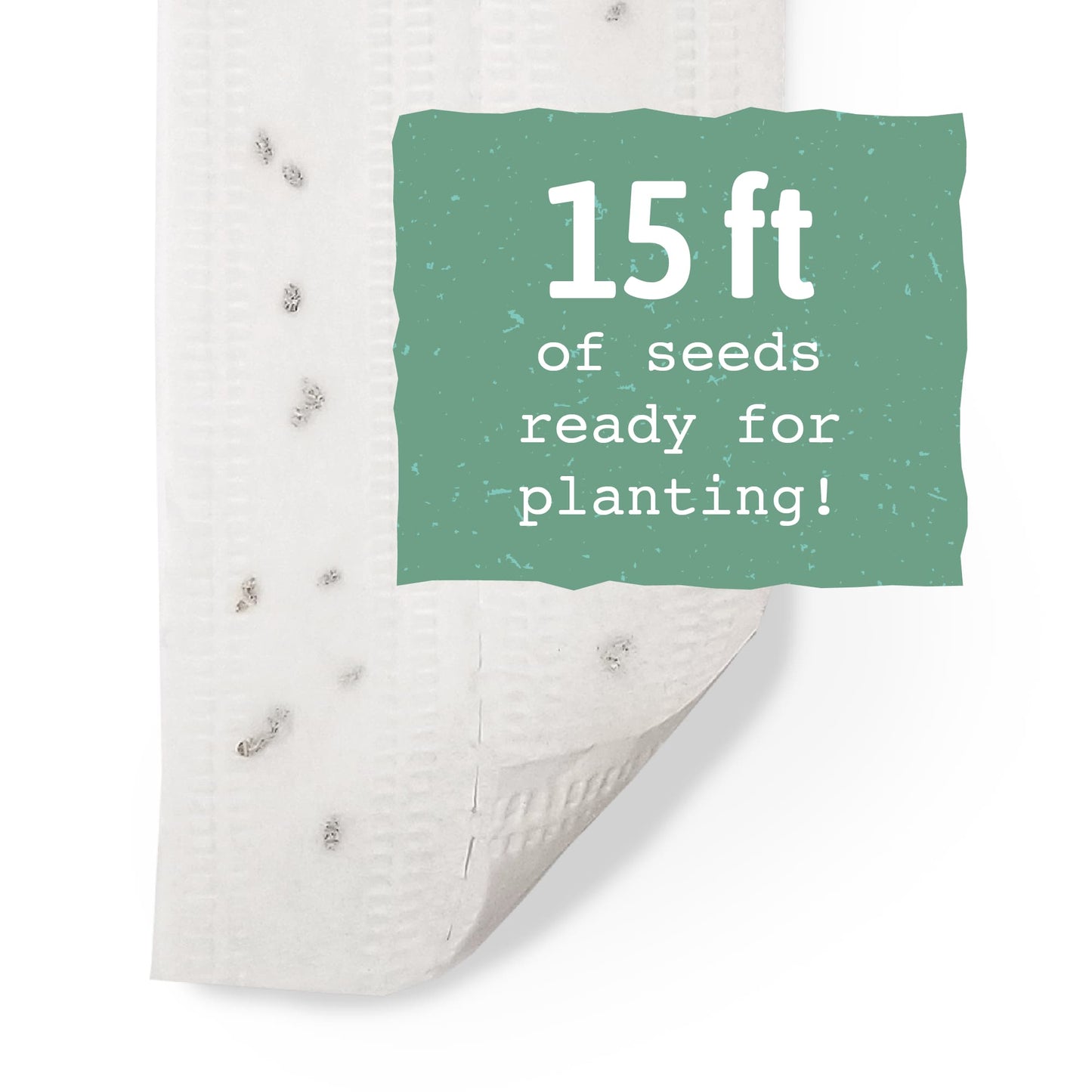 Beet, Detroit Dark Red Seed Tape