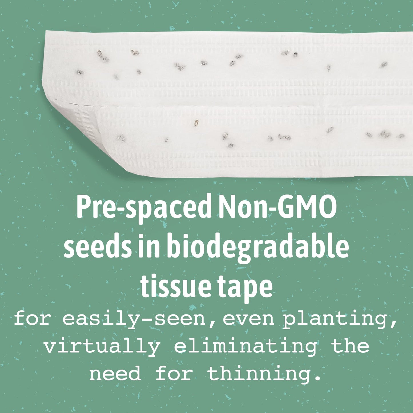 Pre-spaced non-gmo seeds in biodegradable tissue tape for easily-seen, even planting, virtually eliminating the need for thinning.