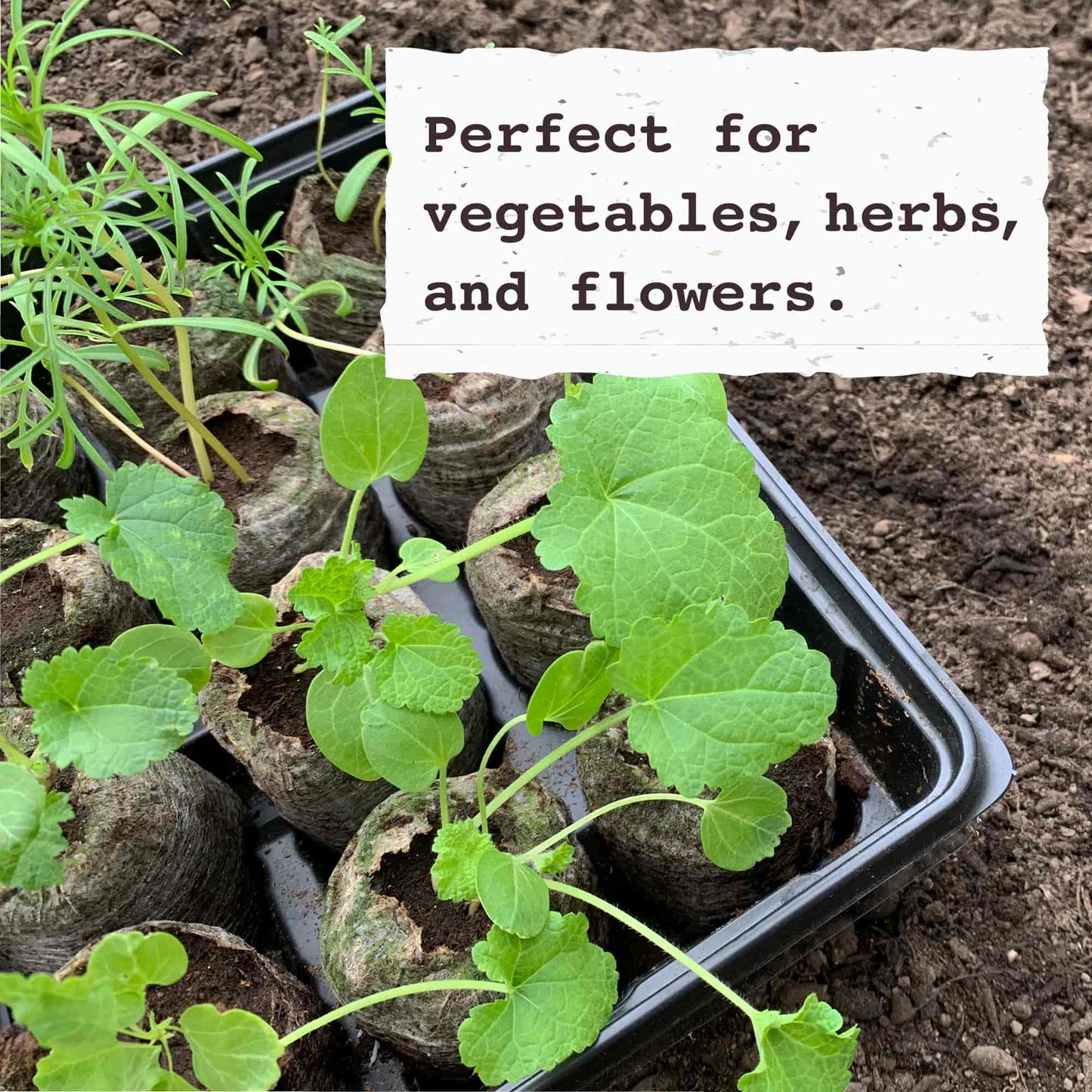 Perfect for vegetables, herbs, and flowers