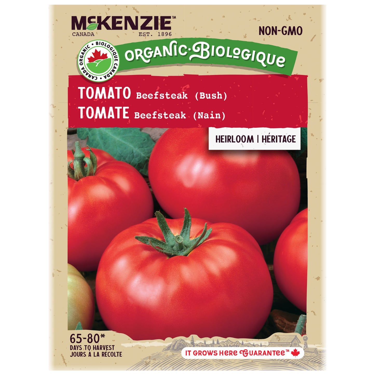 Tomato, Beefsteak Bush Organic Seeds