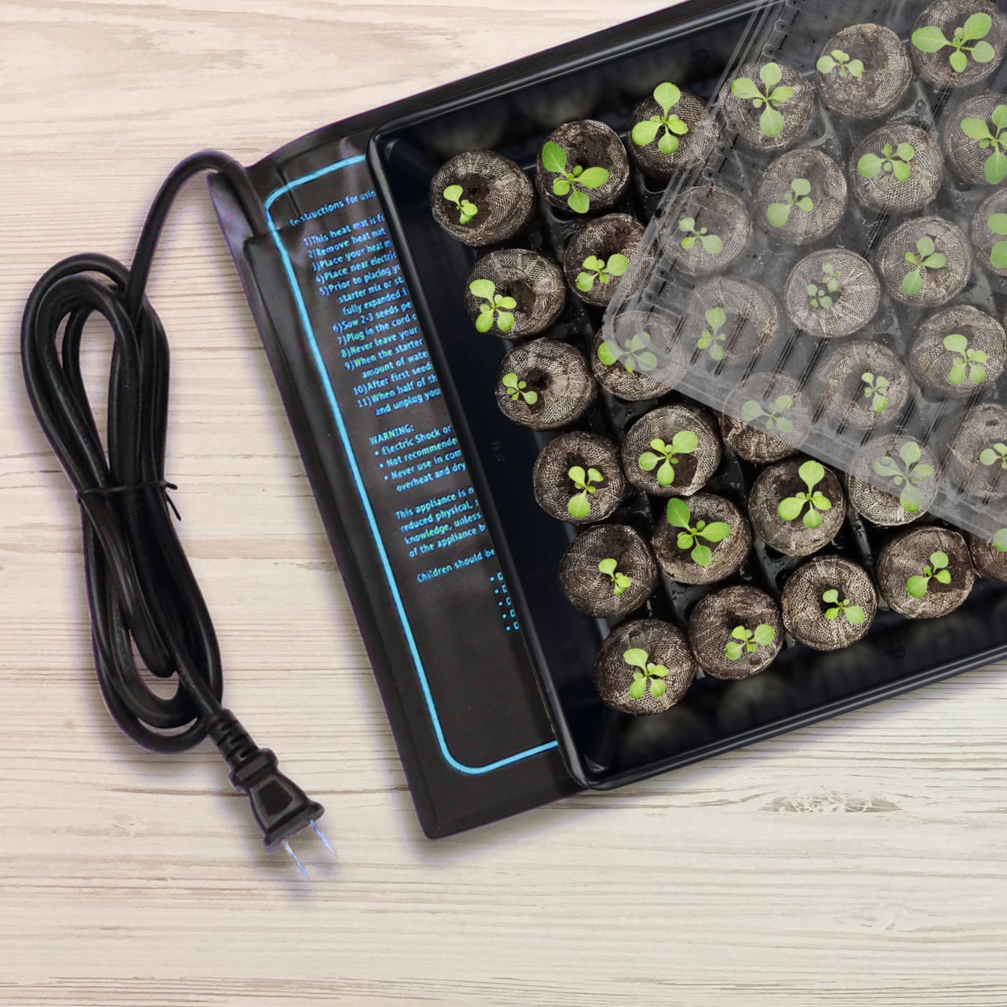 Seedling tray with young plants and a black heat mat on a light wooden surface