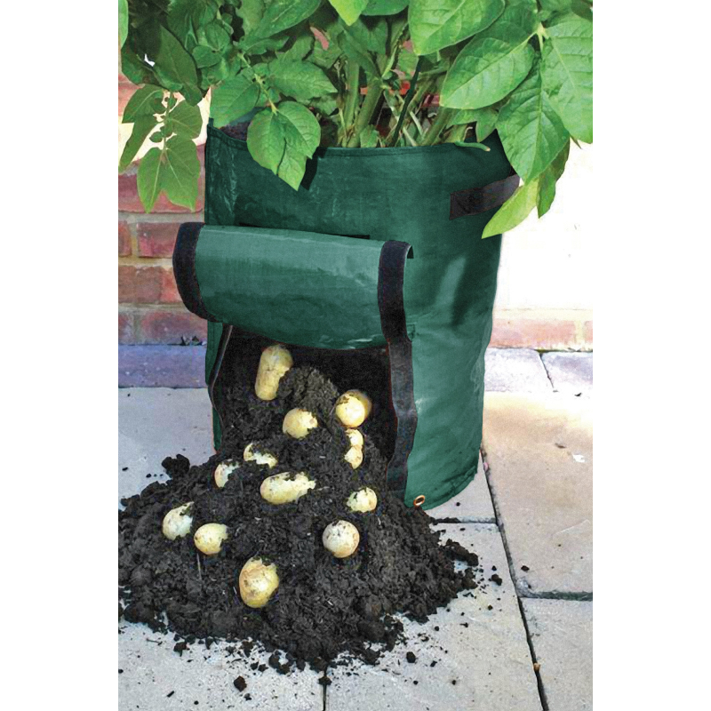 Green potato harvest bag with freshly harvested potatoes on a stone surface.
