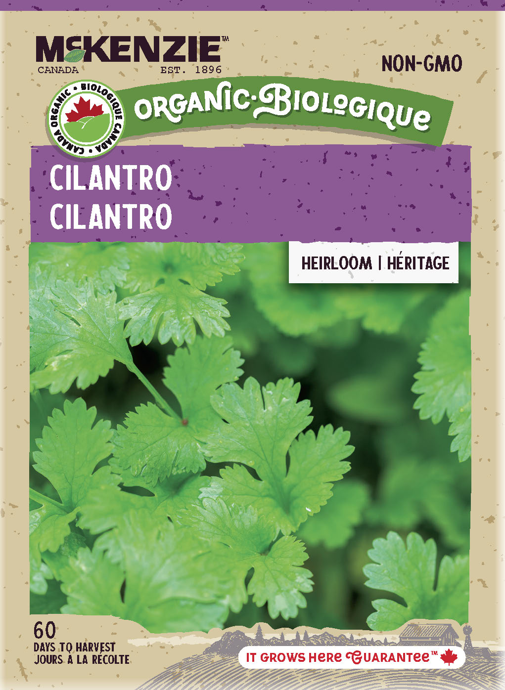Front of McKenzie Seeds Cilantro seed packet featuring an image of fresh cilantro leaves and product details.