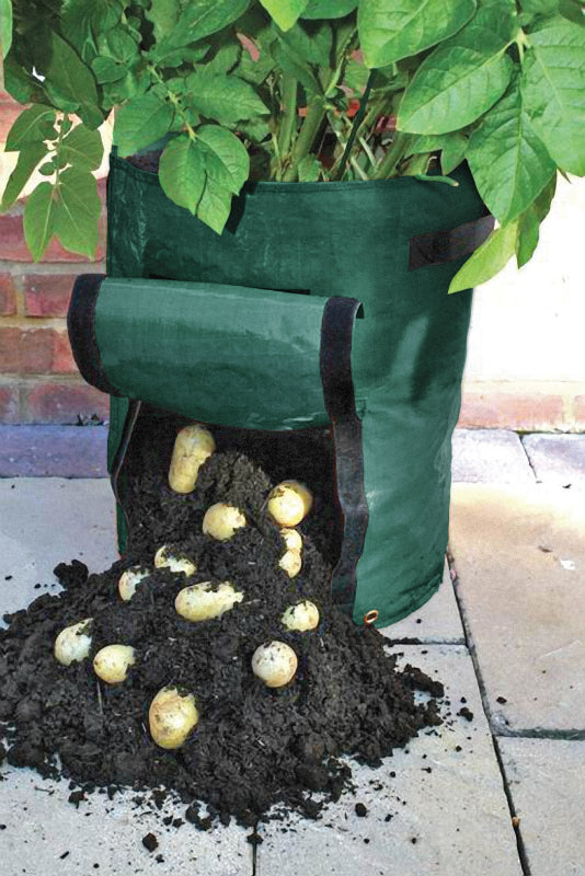 McKenzie Seeds Reusable Planter Bag (35 x 50 cm), Bundle of 2