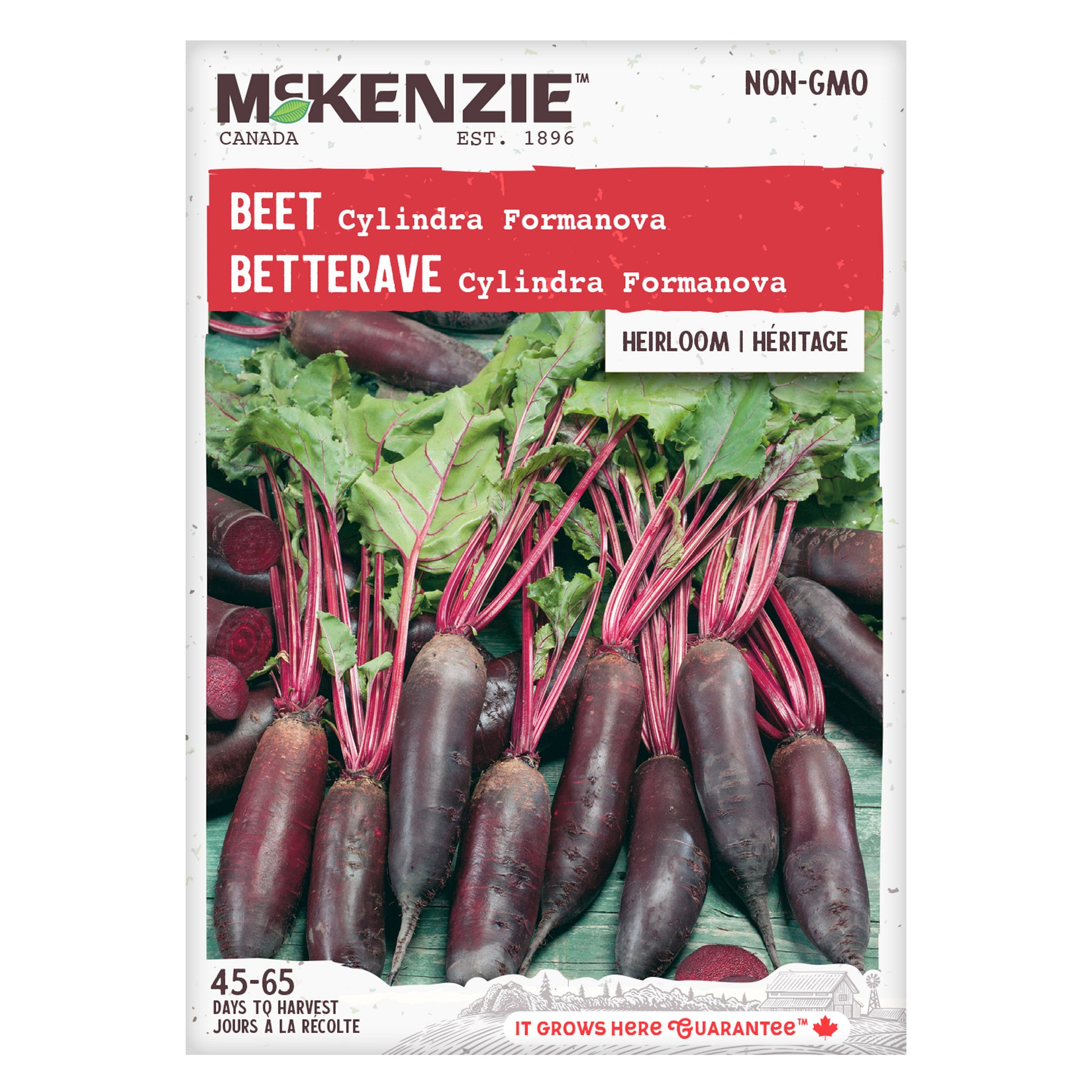 Front packaging of McKenzie Seeds Beet Cylindra, showcasing a striking image of cylindrical red beets alongside the product name.