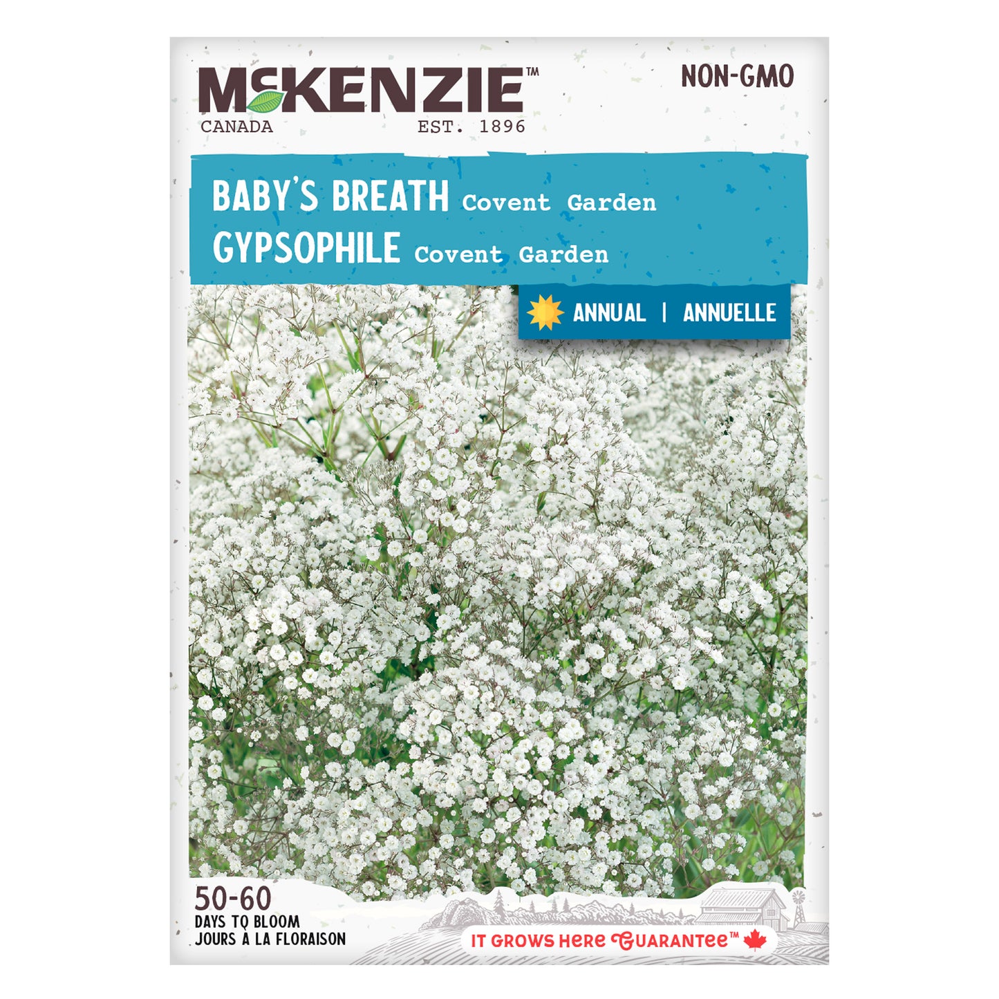 Front of McKenzie Seeds packaging for Baby's Breath (Gypsophila), showing image of delicate white flowers with product name, brand logo, and planting details.