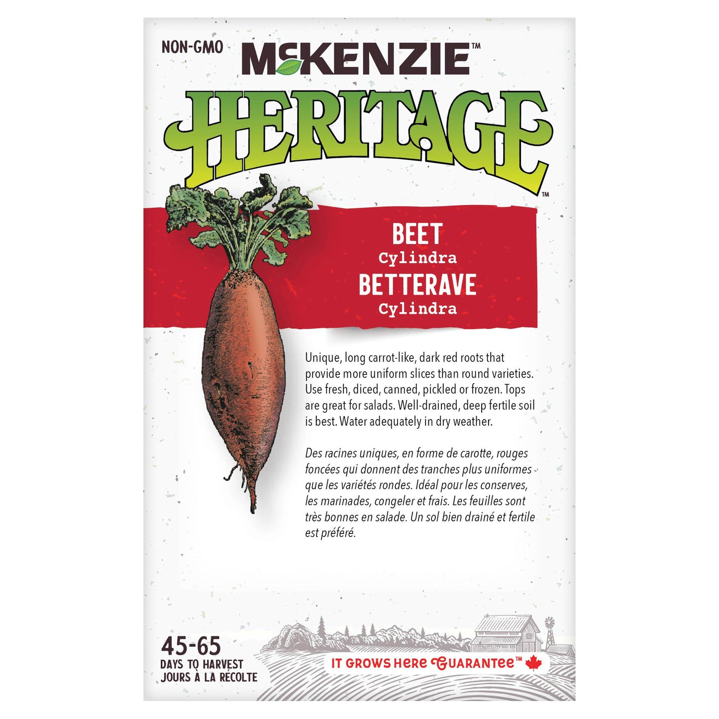 Beet, Cylindra Bulk Pack Seeds