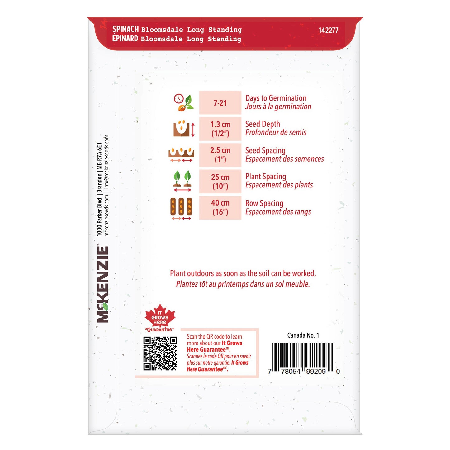 Spinach, Long Standing Bloomsdale Bulk Pack Seeds