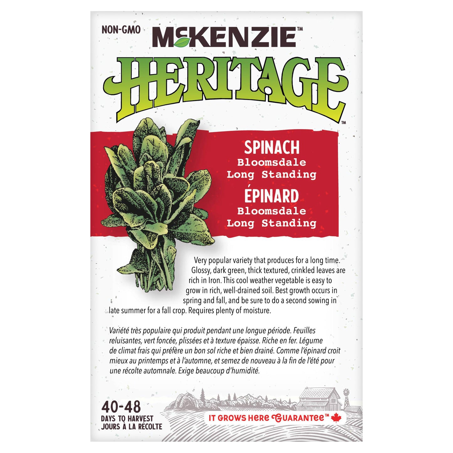 Spinach, Long Standing Bloomsdale Bulk Pack Seeds