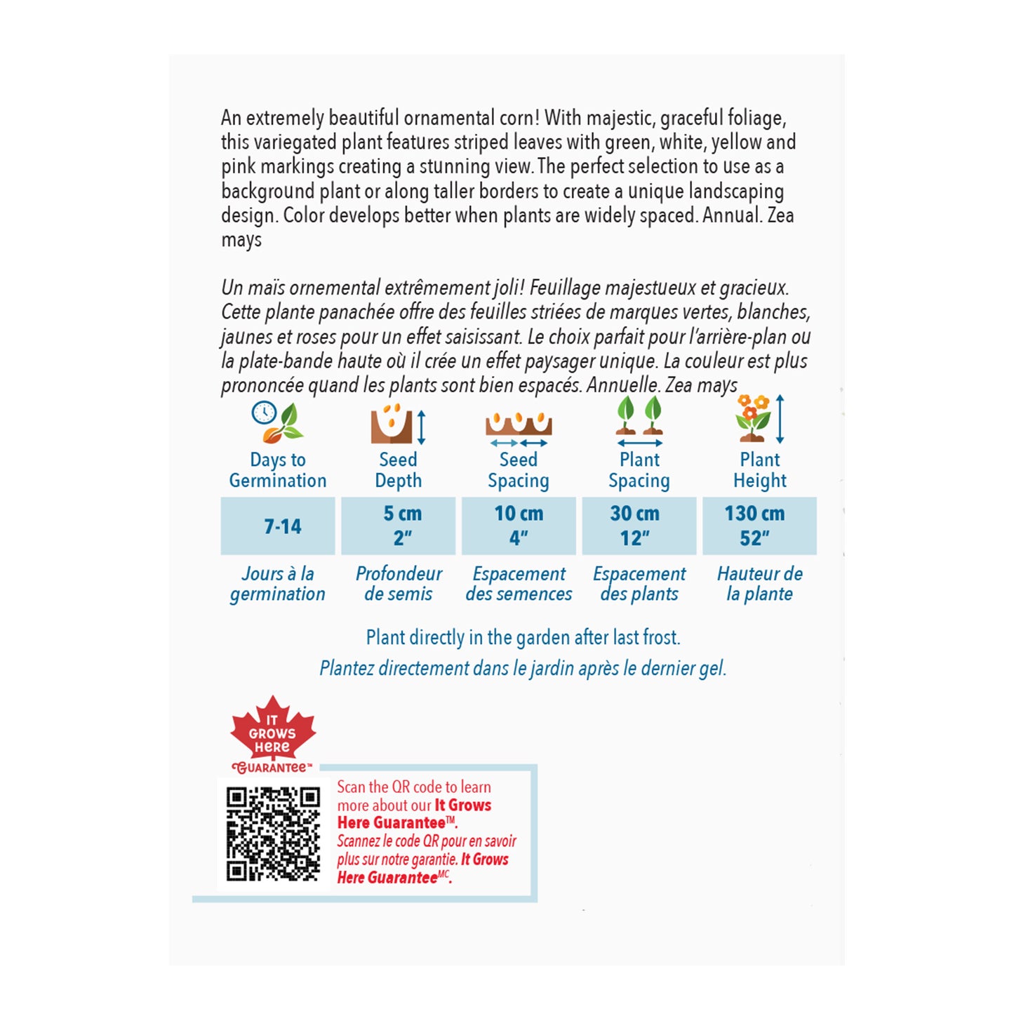 Product label for Zea mays with planting instructions and QR code on a white background