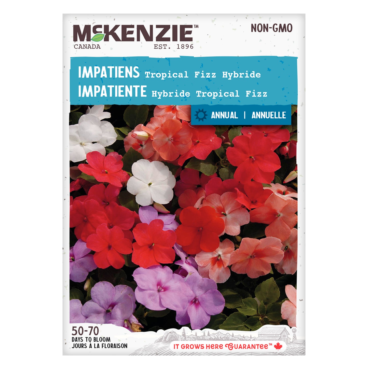 Impatiens, Tropical Fizz Hybrid Seeds