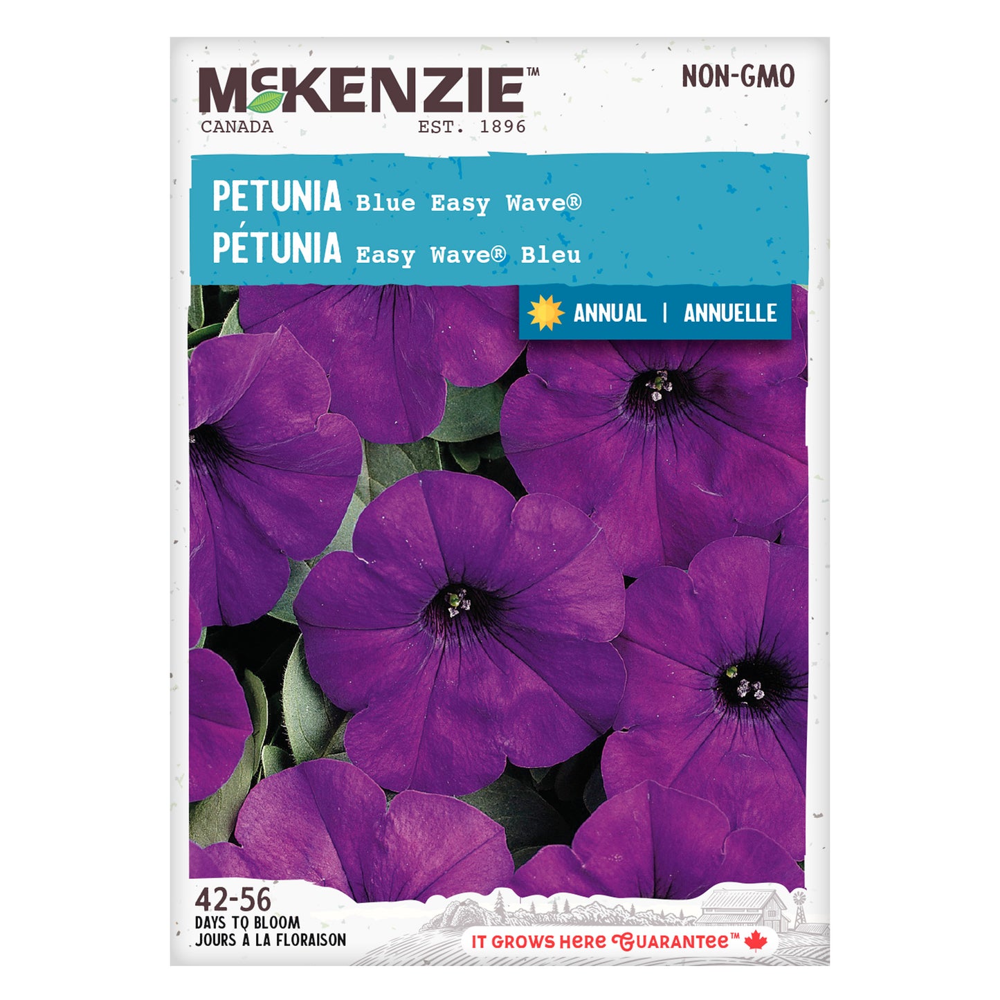 Petunia Seeds, Blue Easy Wave©