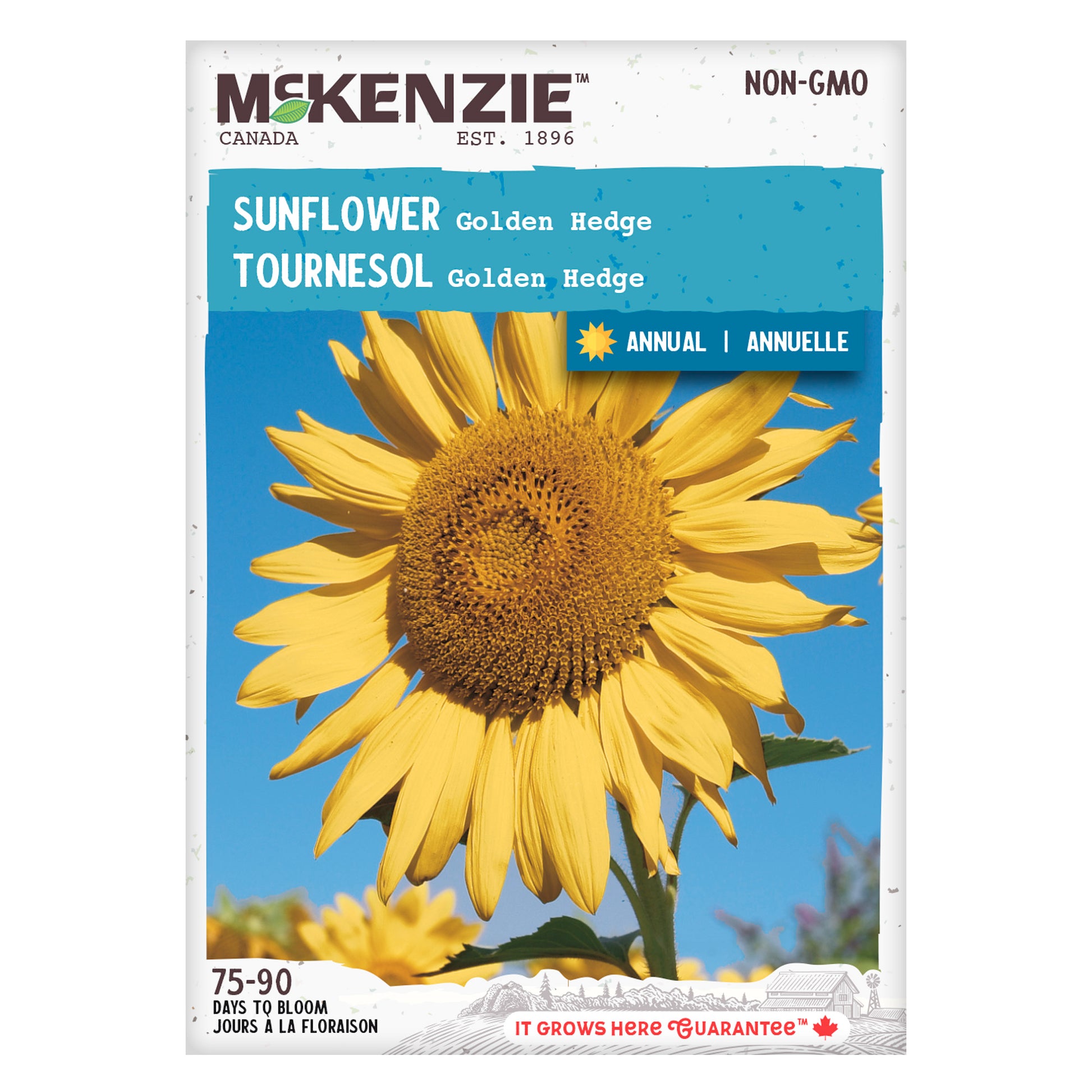 Mckenzie brand sunflower seed packet