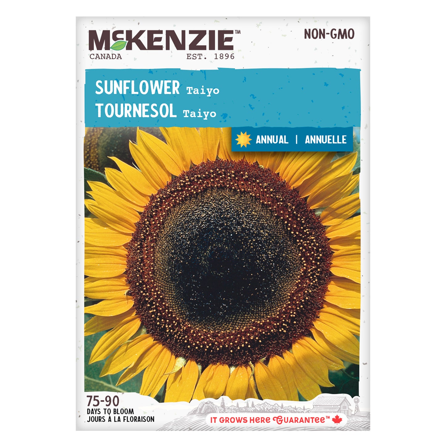 Sunflower, Taiyo Seeds