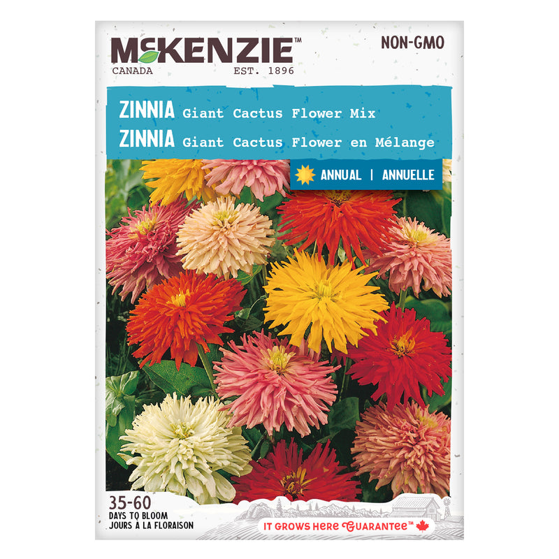 Zinnia Seeds, Giant Cactus Flowered Mix McKenzie Seeds
