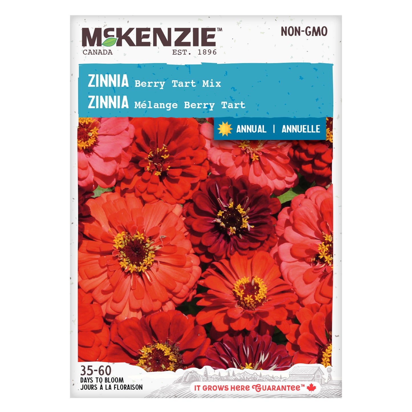 Zinnia, Berry Tart Mix Seeds
