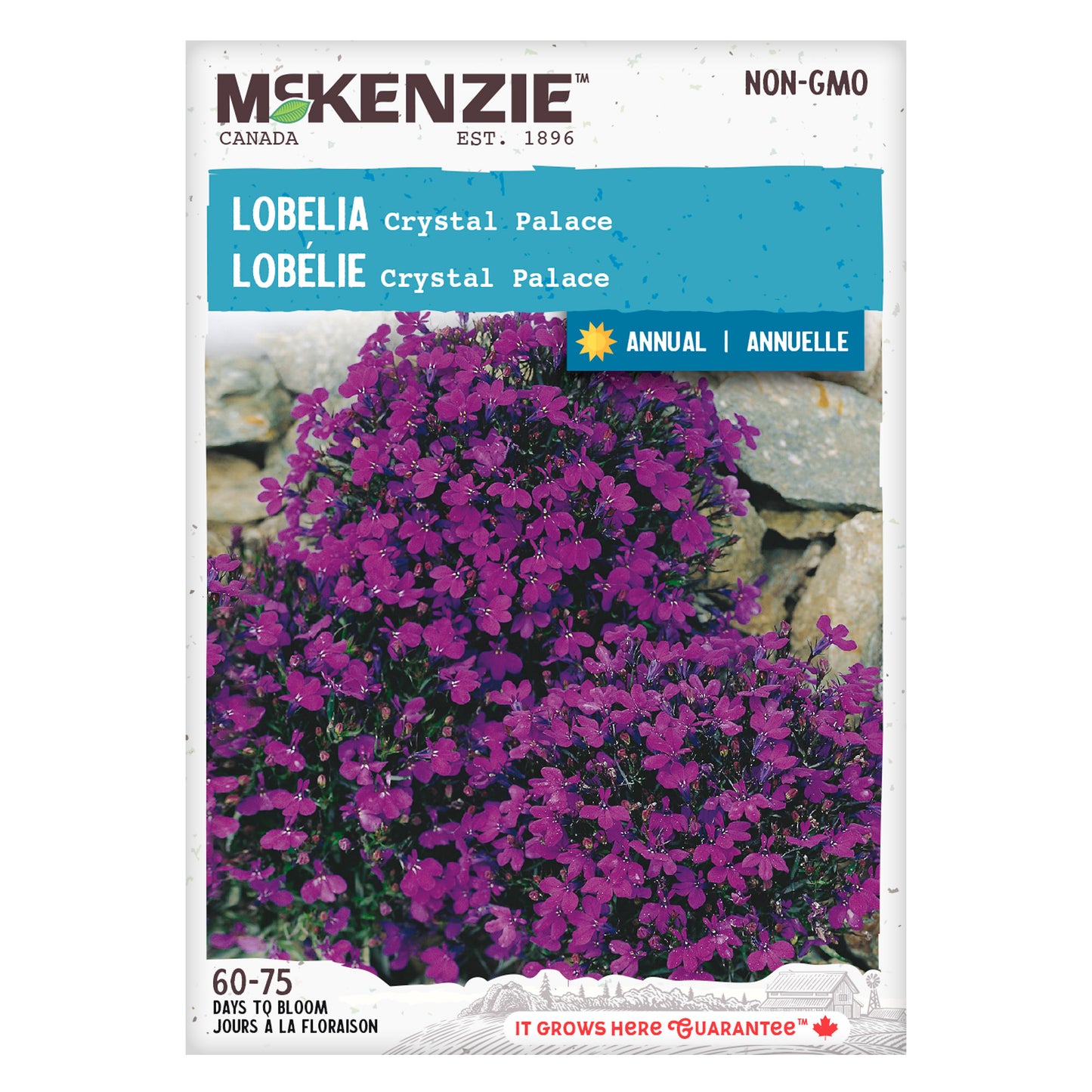Lobelia, Crystal Palace Seeds