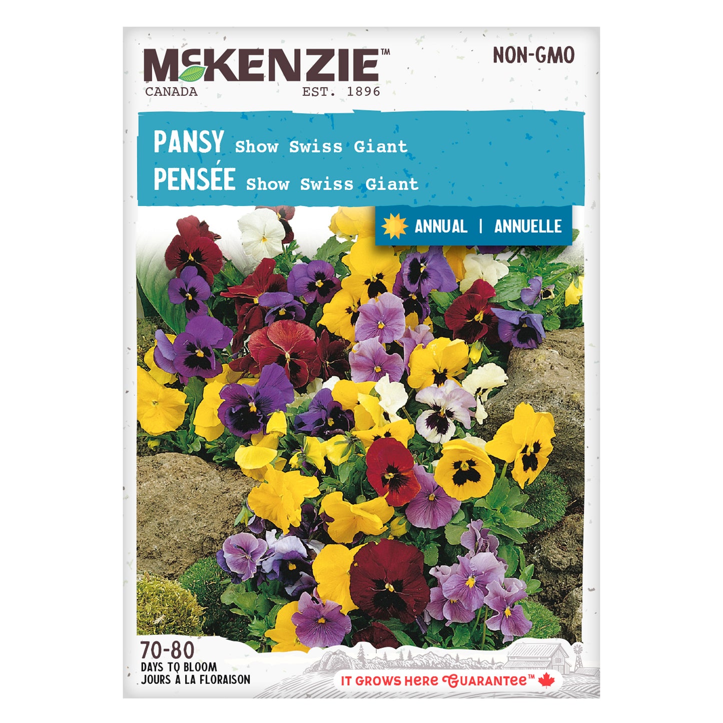 Pansy, Show Swiss Giant Seeds