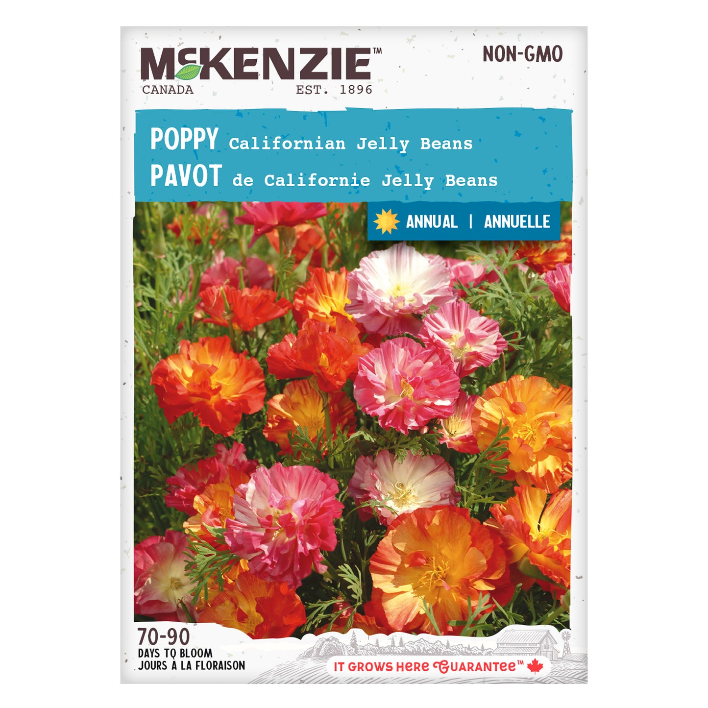 Poppy, Californian Jelly Beans Seeds