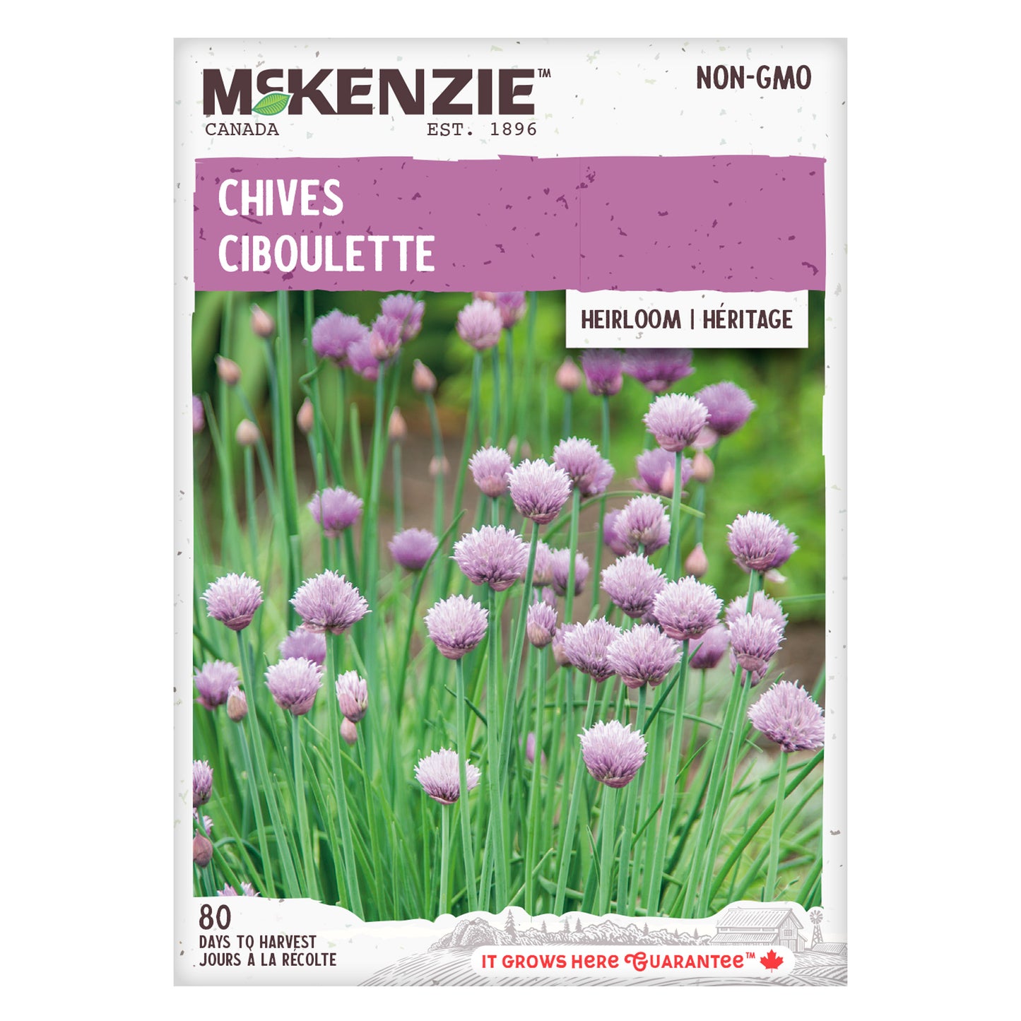 Front of McKenzie Seeds Chives seed packet showing image of fresh chives with product name.