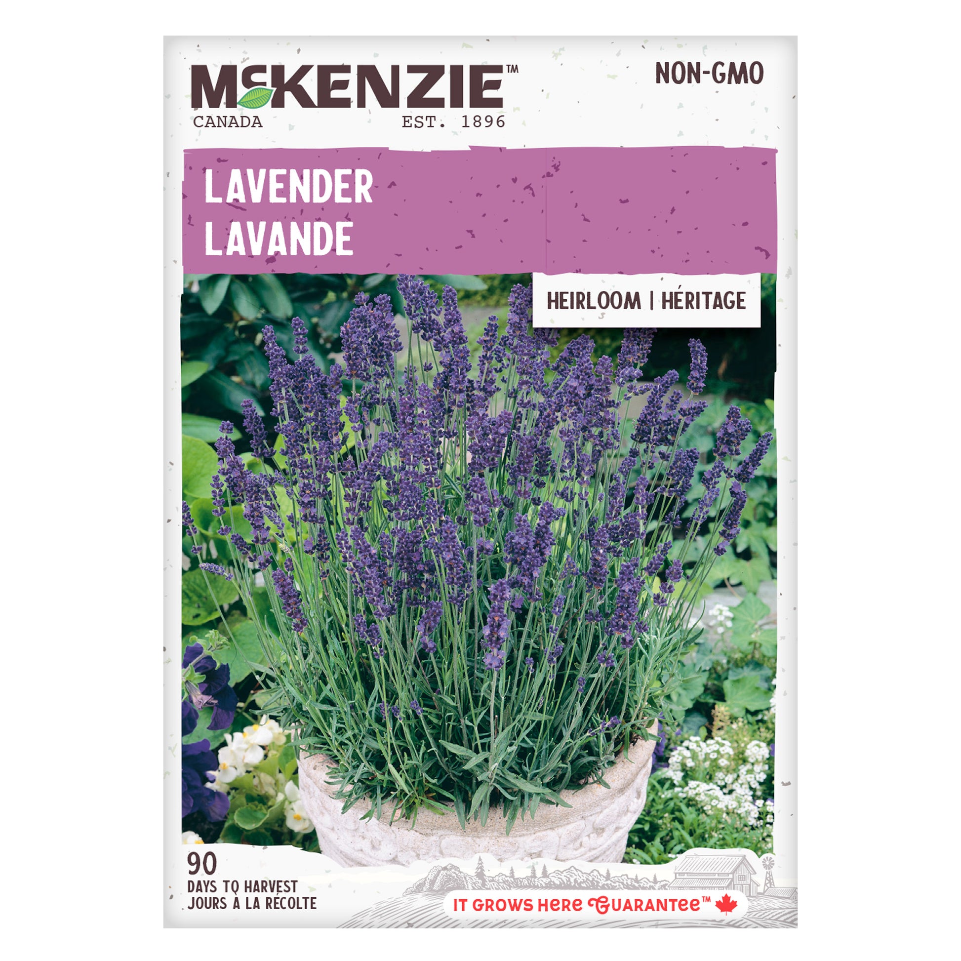 Front of McKenzie Seeds Lavender seed packet showing lavender flowers in full bloom with product name and branding