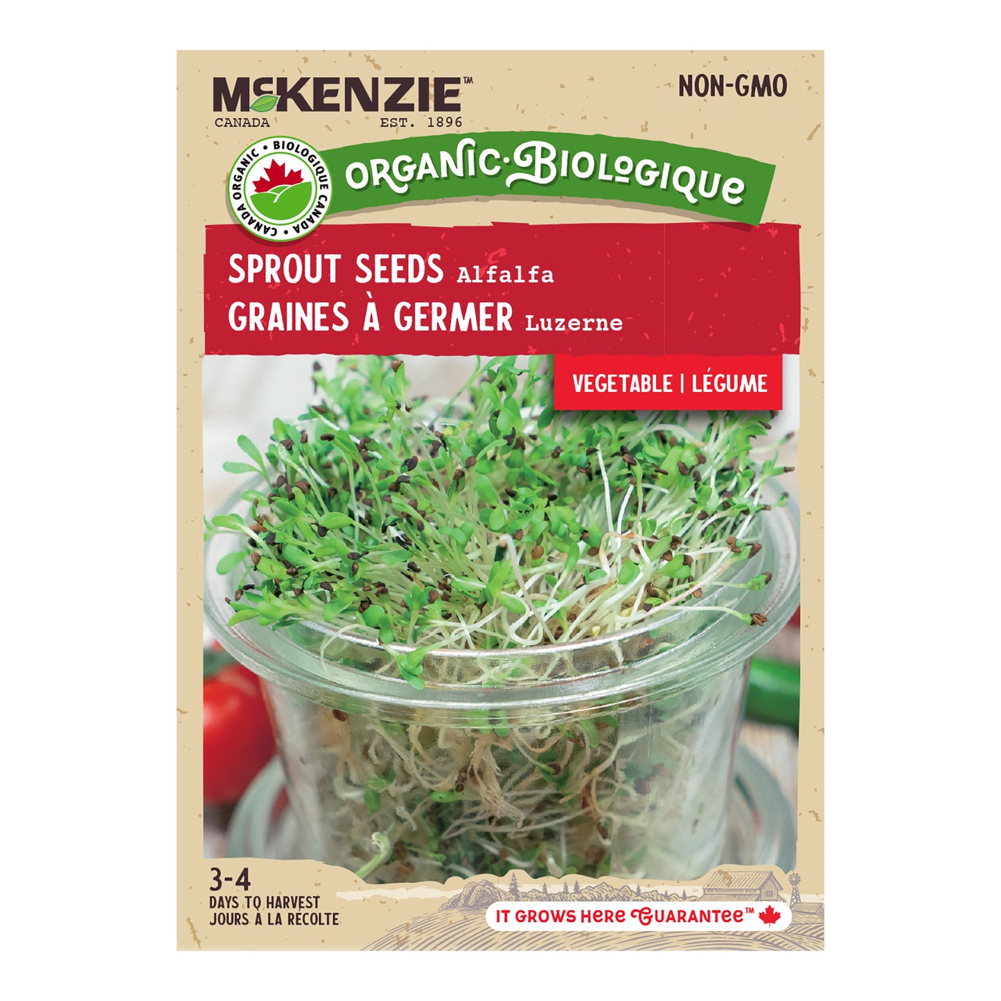 Sprouts, Alfalfa Organic Seeds