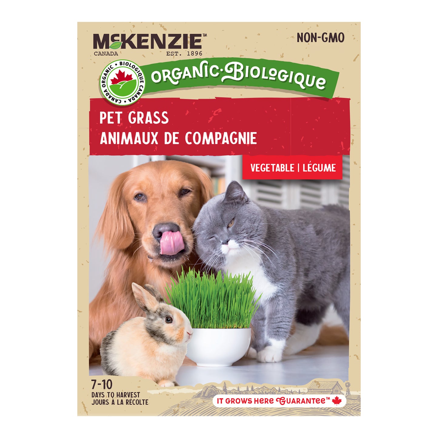 Catgrass Organic Seeds