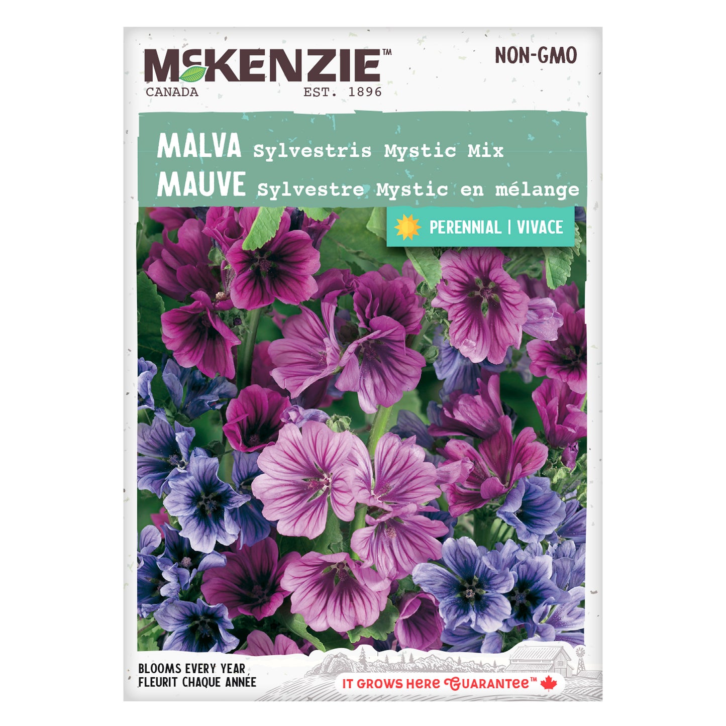 Front of McKenzie Seeds Malva seed packet showing brand logo