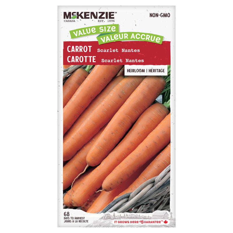 Carrot Seeds, Scarlet Nantes Jumbo Pack McKenzie Seeds