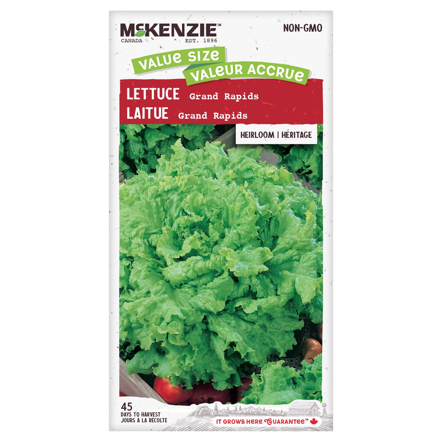 Lettuce, Grand Rapids Value Size Seeds