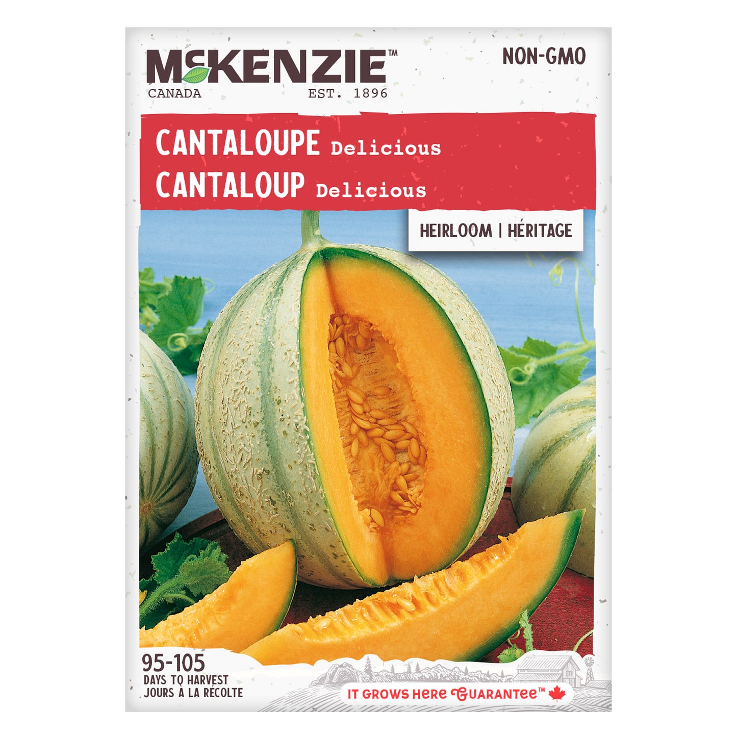 Cantaloupe, Delicious Seeds
