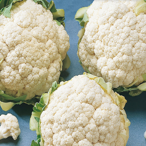 Three heads of white cauliflower arranged on a surface, with green leaves visible at the edges.