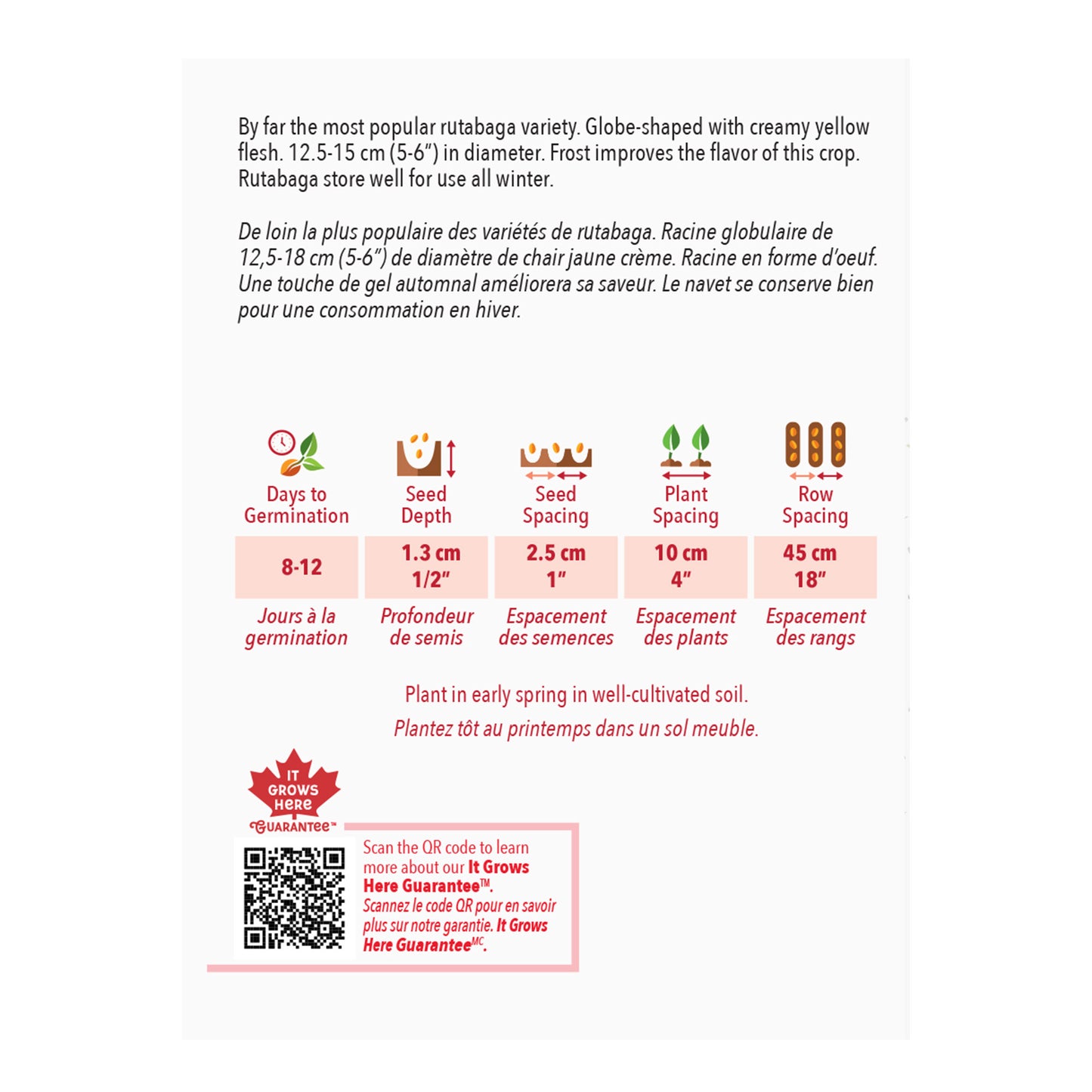 Globe-shaped rutabaga variety information sheet with text and icons on a white background