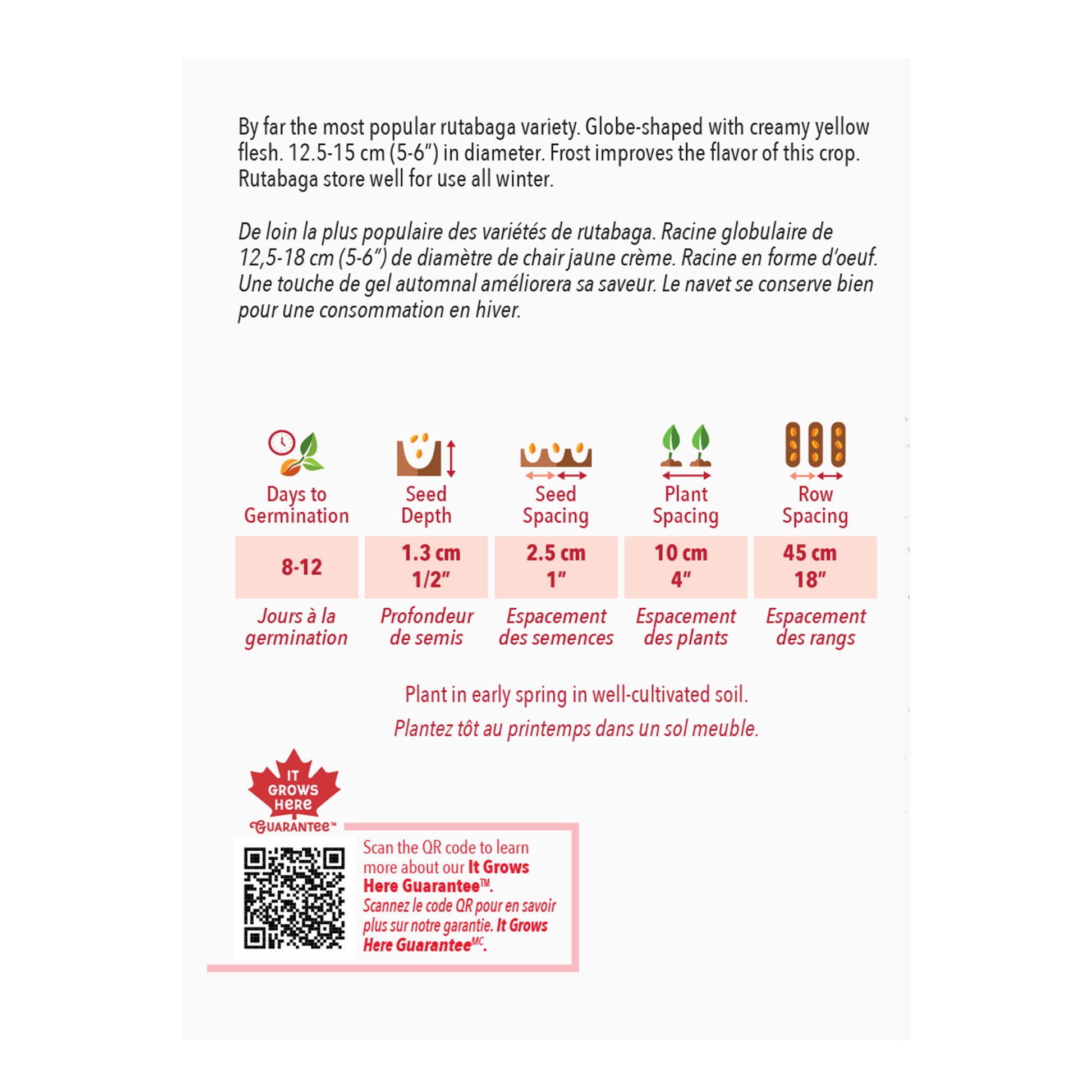 Globe-shaped rutabaga variety information sheet with text and icons on a white background