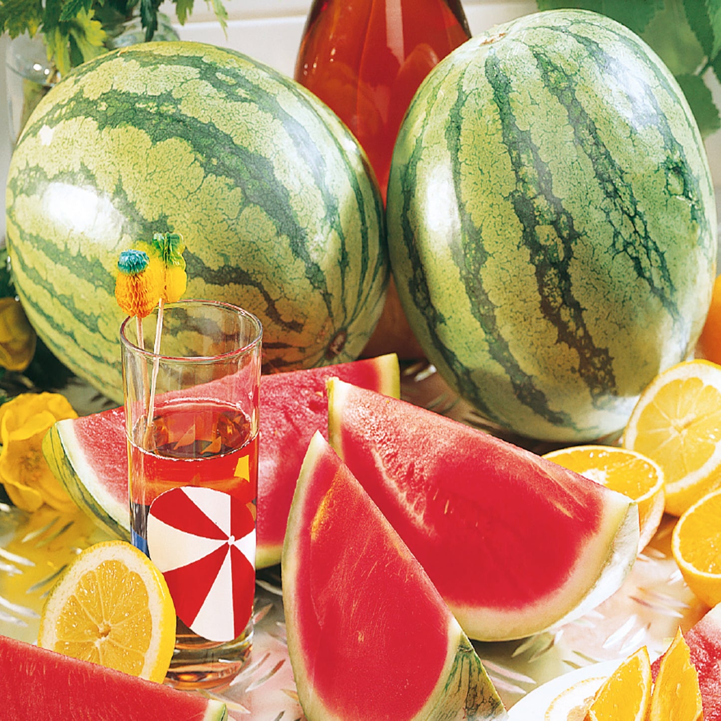 An image featuring whole and sliced Crimson Sweet watermelons, with a glass containing a watermelon slice drink and lemon slices in the foreground.