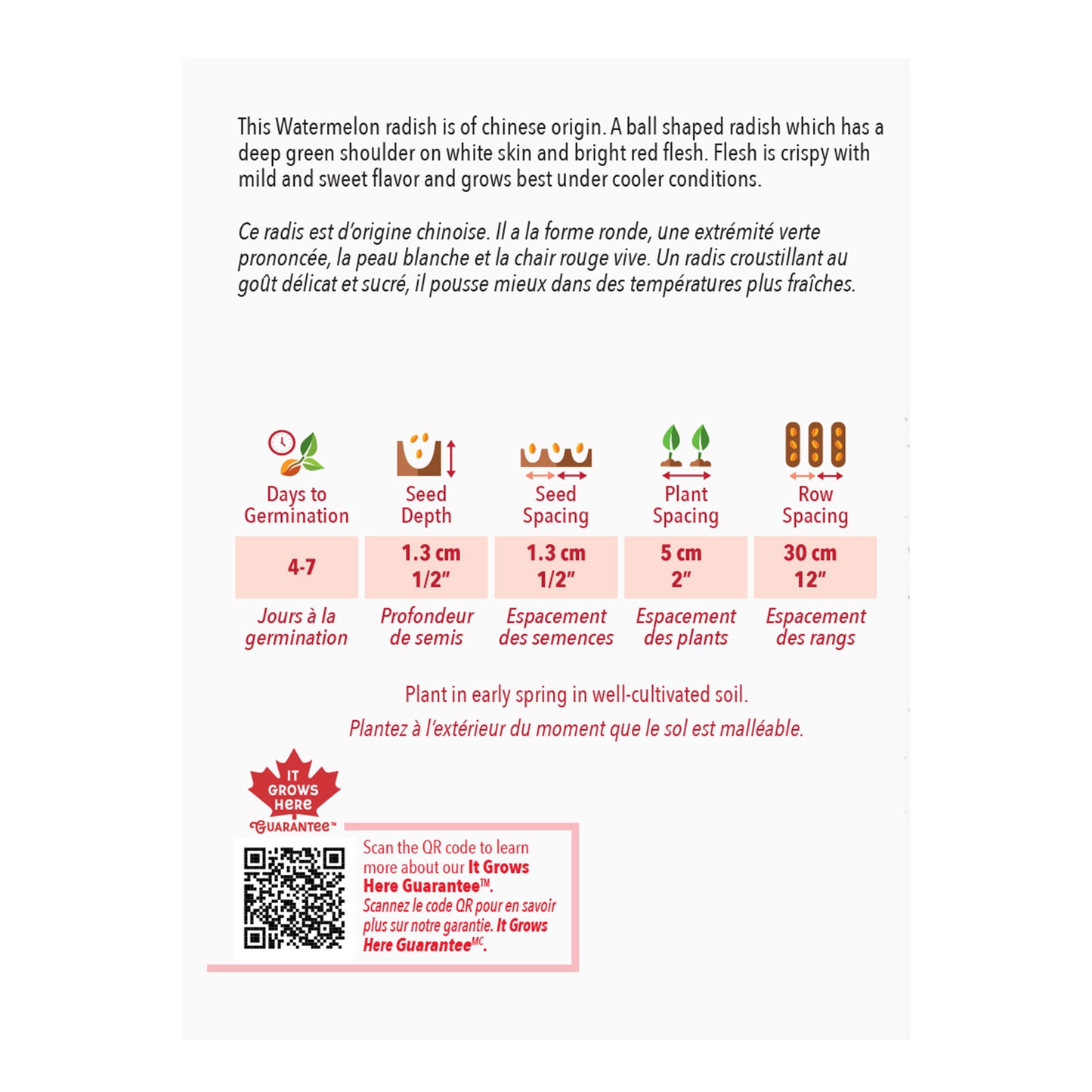 Seed packet for watermelon radish with planting instructions and product details.