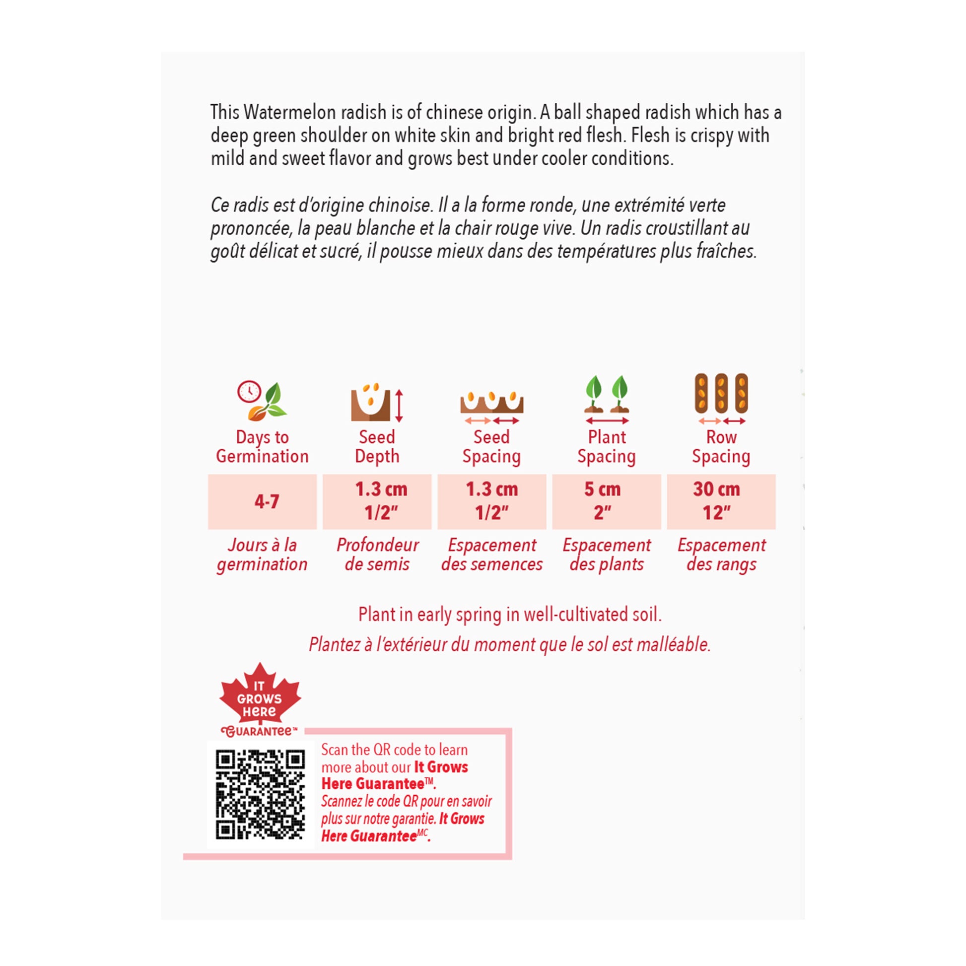 Seed packet for watermelon radish with planting instructions and product details.