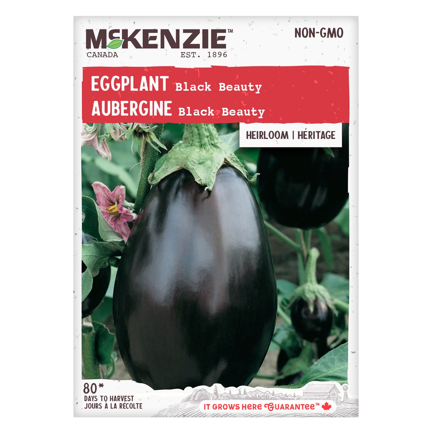 Front of McKenzie Seeds Eggplant seed packet showing brand logo